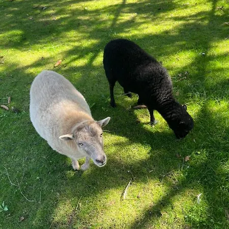 Гостевой дом La Parenthese Flechoise, Agathe